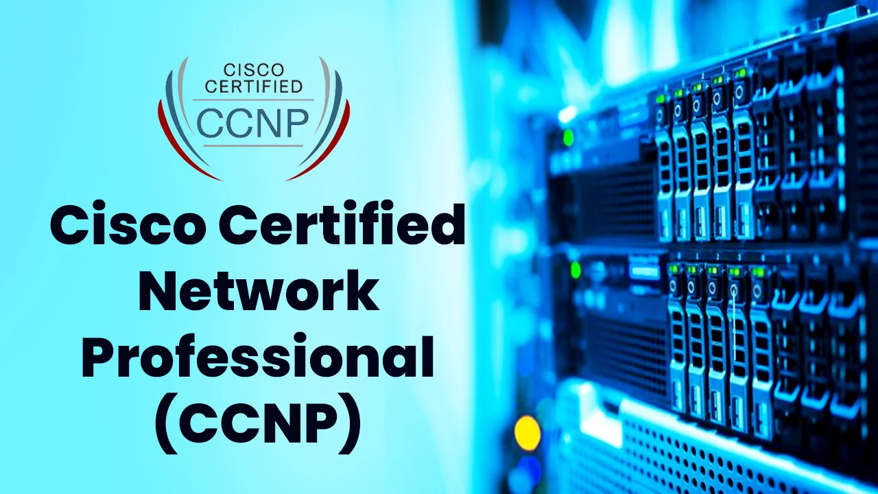 network-courses